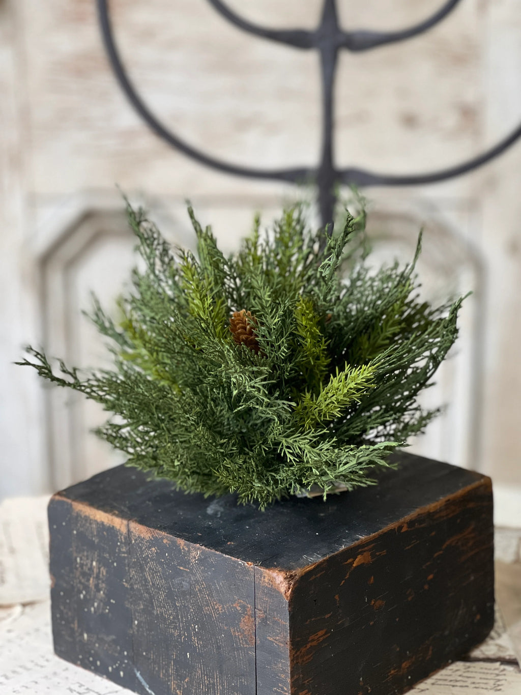 Green everygreen half sphere on a black wooden block with a blurred decorative background