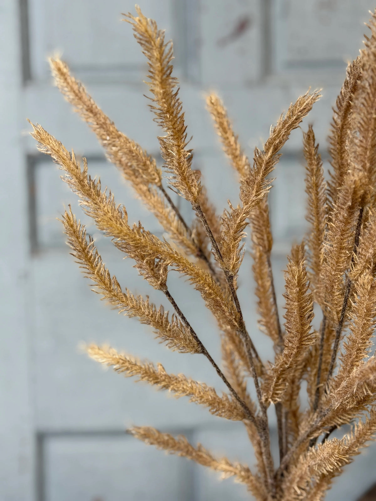 Gold-colored decorative grass type stem against a neutral background