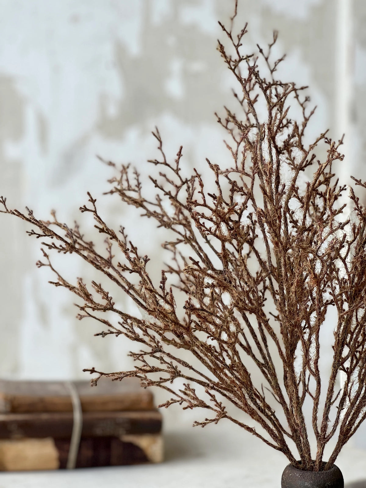 Detailed image of fuzzy textured branched brownn stem