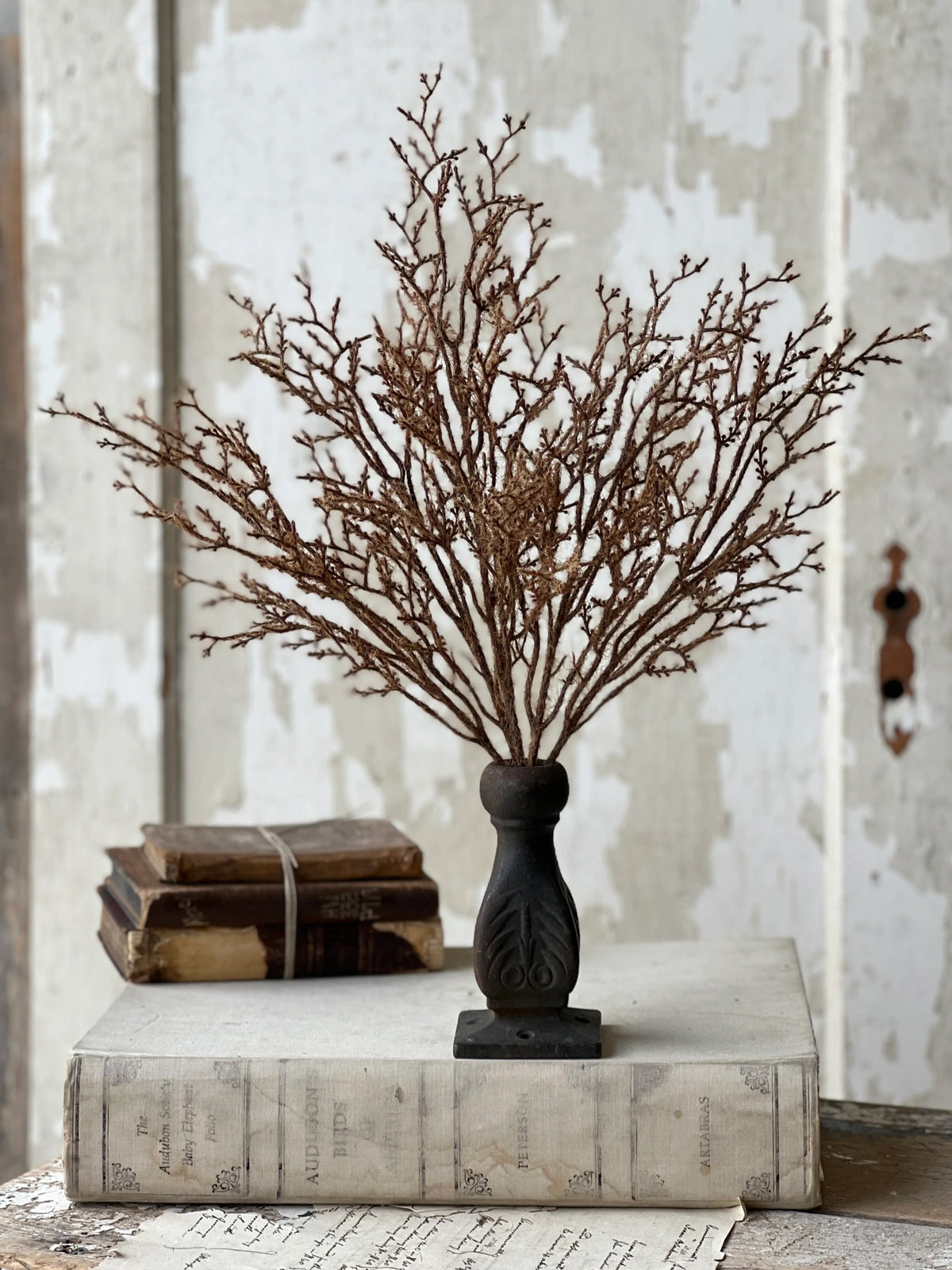 Brown fuzzy branching stem in a wooden spindle base