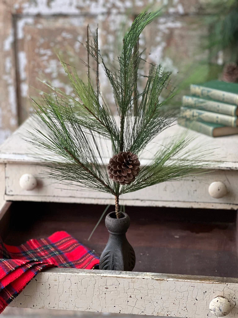 Close up of decorative pine greenery stem with pinecones in a black pot on a rustic wooden surface.