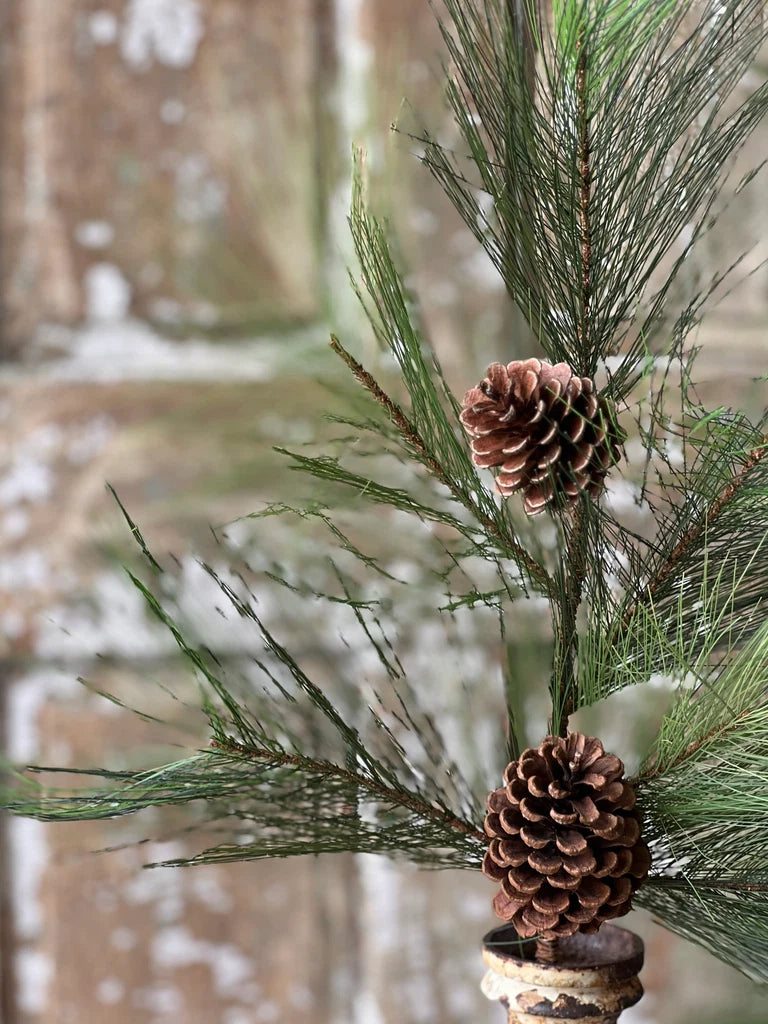 Close up of decorative pine greenery stem with pinecones in a black pot on a rustic wooden surface.
