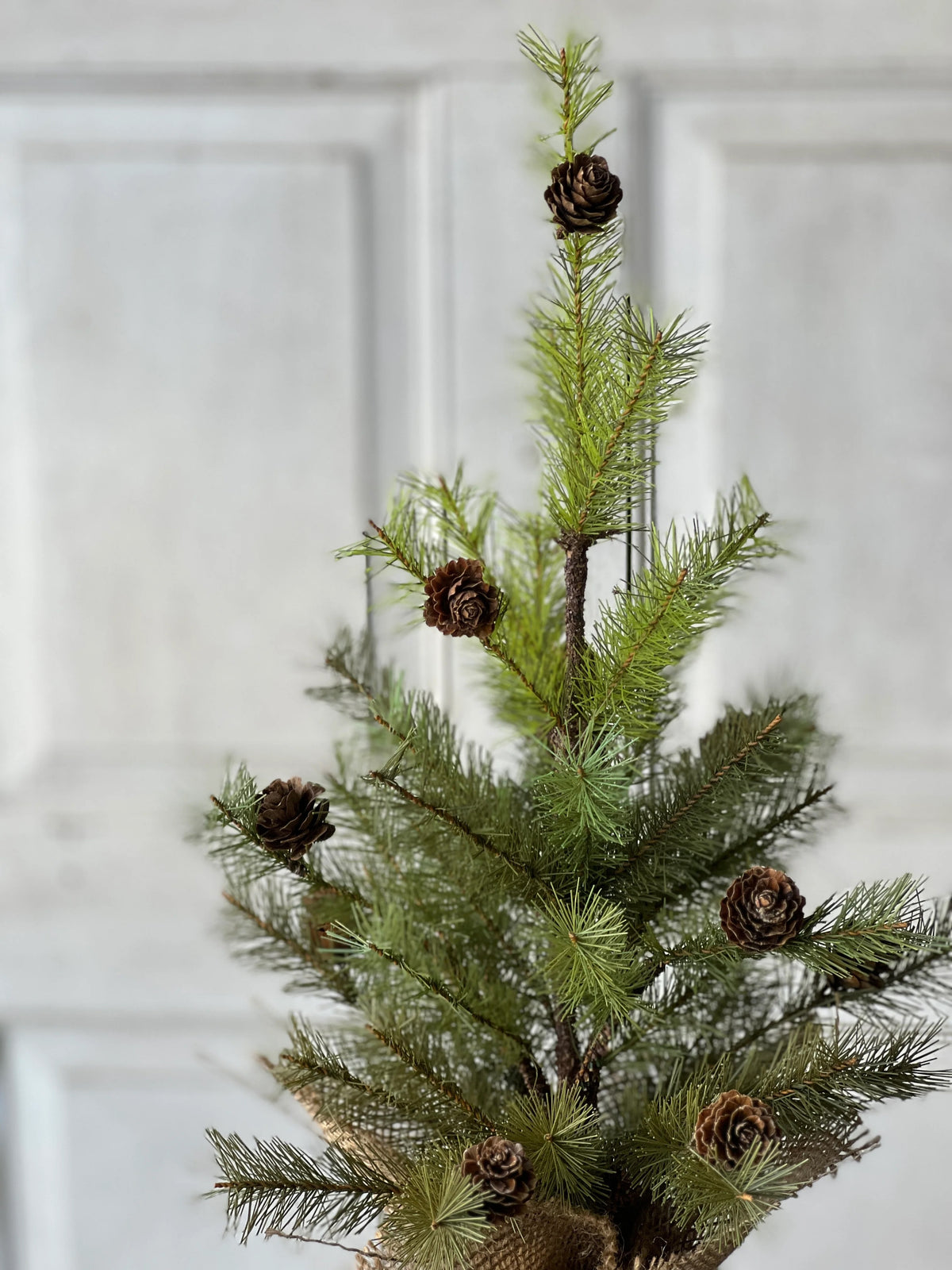 Small artificial Christmas tree with pinecones against a white paneled background