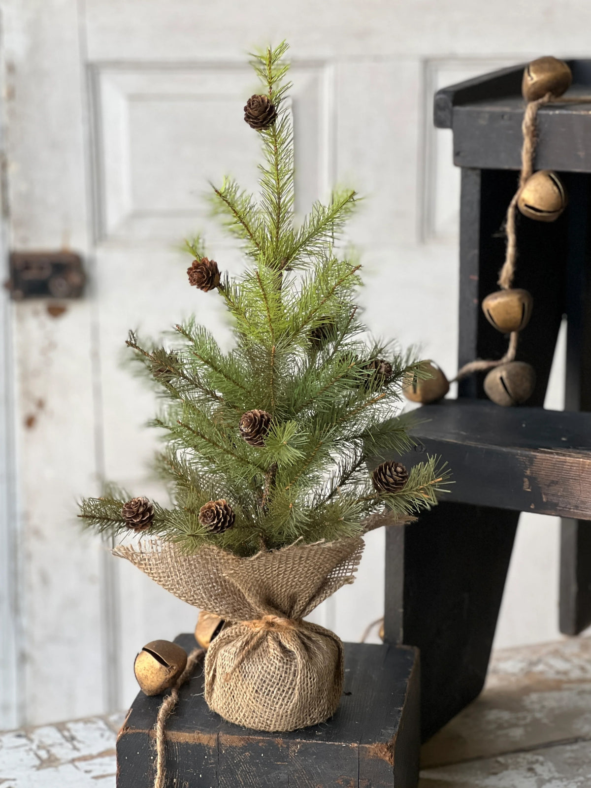 Small Christmas tree with pinecones on a rustic wooden chair against a white paneled wall.