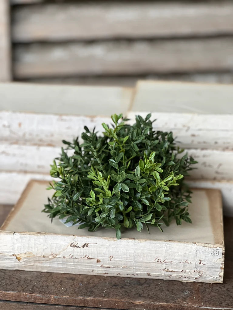 Green boxwood half sphere on an old book with a wooden background