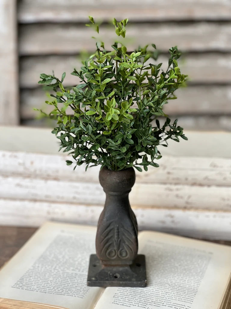 A small artificial green boxwood-style plant in a dark carved pedestal vase, displayed on an open book with a rustic whitewashed wood background.