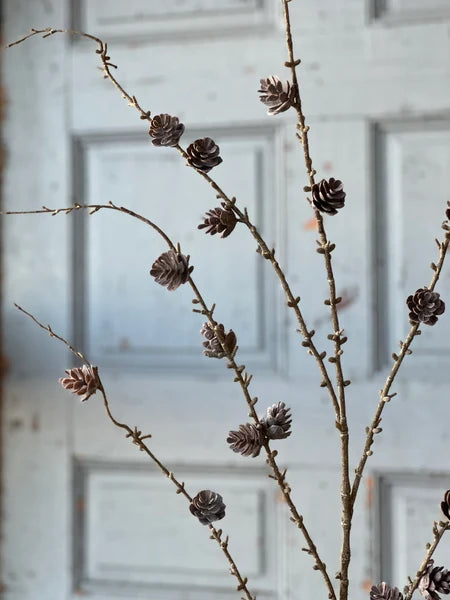 Brown twig branches with small brown pinecones and buds, arranged in front of a soft-focus light gray paneled door.