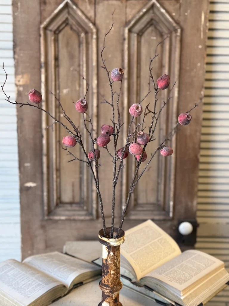 Decorative branches with dusty red pods in a vase on top of open books against a wooden panel background.