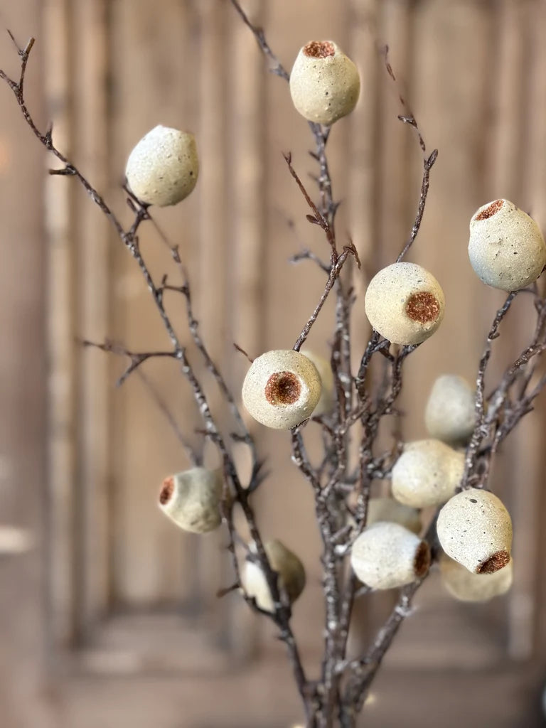 Decorative branch with pale green pods on a blurred background