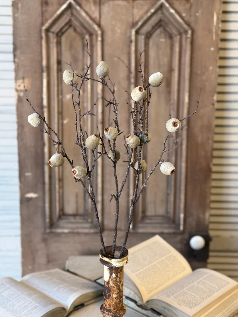 Decorative branches with pale green buds in a rustic vase on an open book against a wooden background
