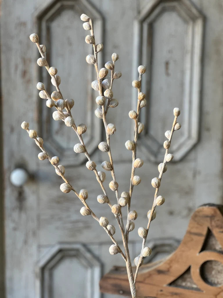 Decorative branch with small spherical buds against a rustic wooden background