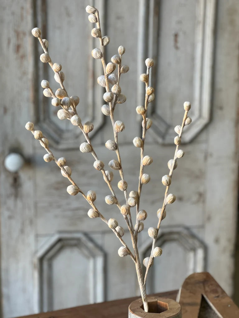 Decorative branched stem with ivory colored buds in a wooden vase against a rustic wall.