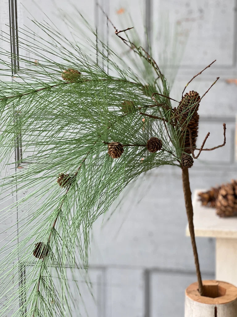 Decorative evergreen branch and pinecones in a wooden holder against a light background