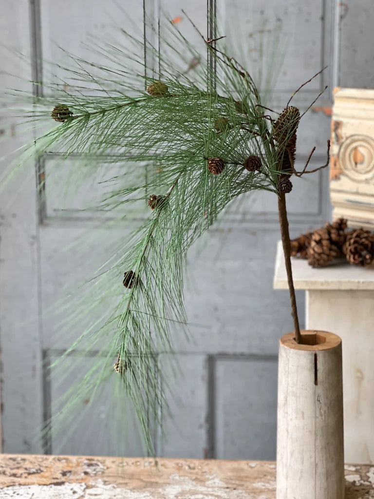 Decorative evergreen branch and pinecones in a vase against a rustic background
