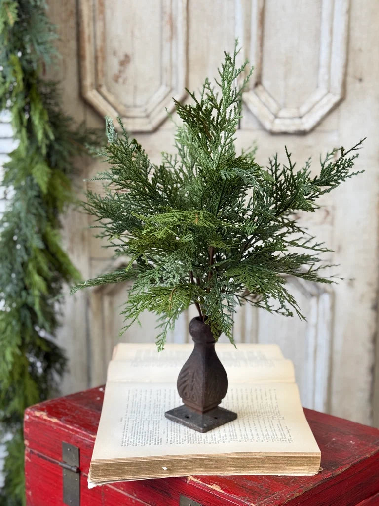 Decorative pine greenery stem in a vase on an open book with a red box and Christmas decorations in the background.