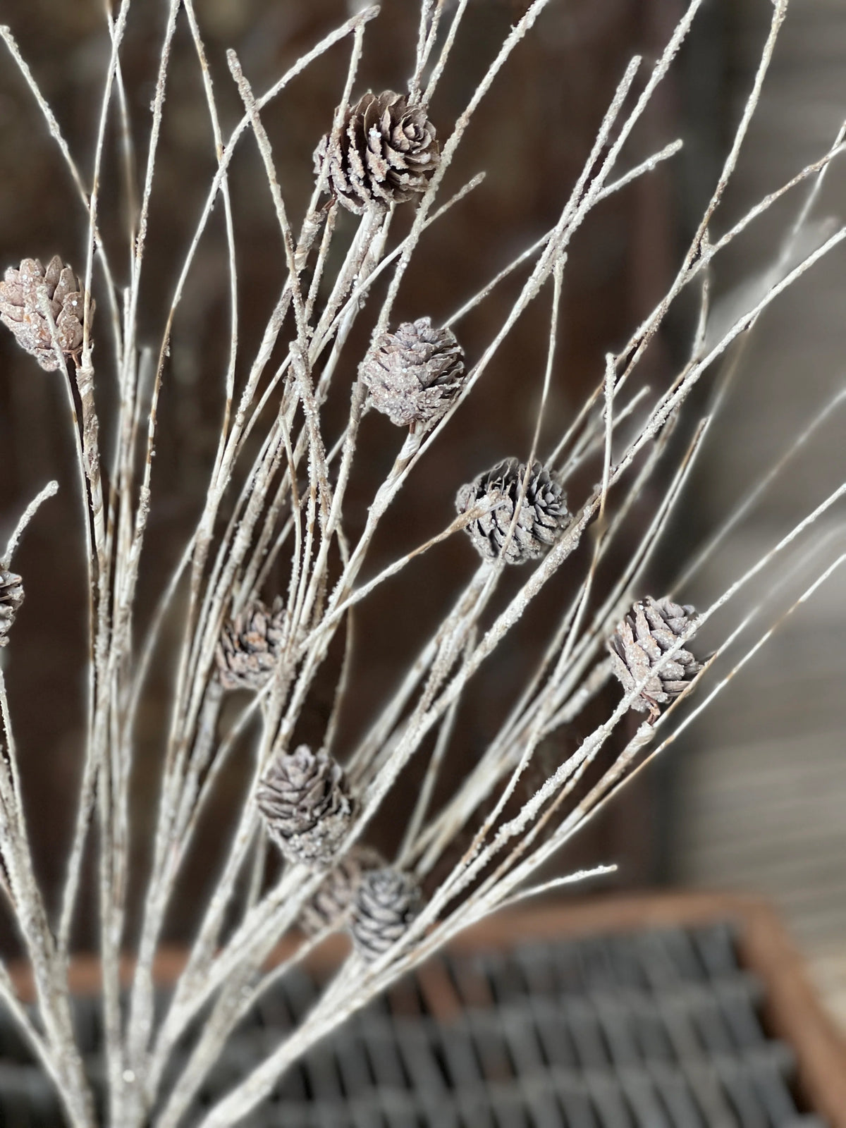 Decorative branches with pine cones on a blurred background