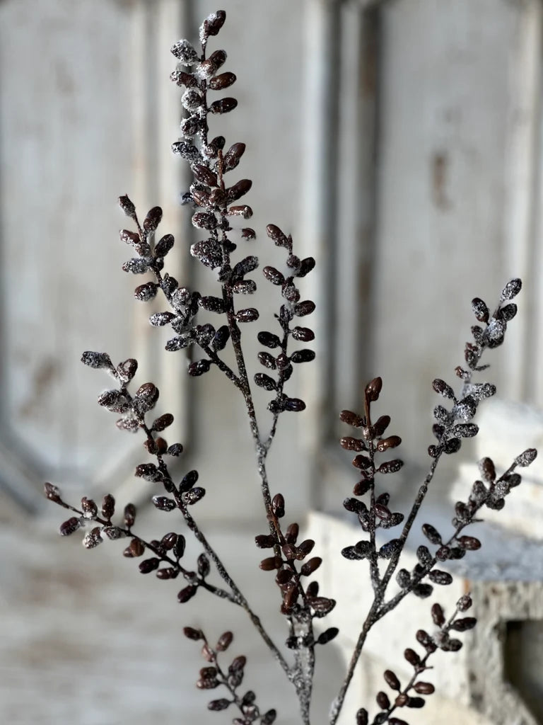 Frosted branche against a wooden background