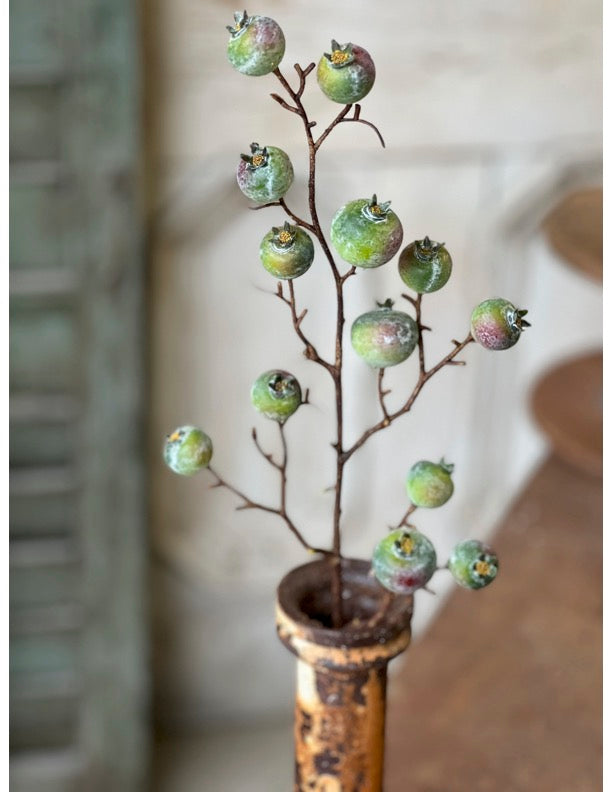 Decorative branch with green pod like fruits in a rustic vase against a neutral background