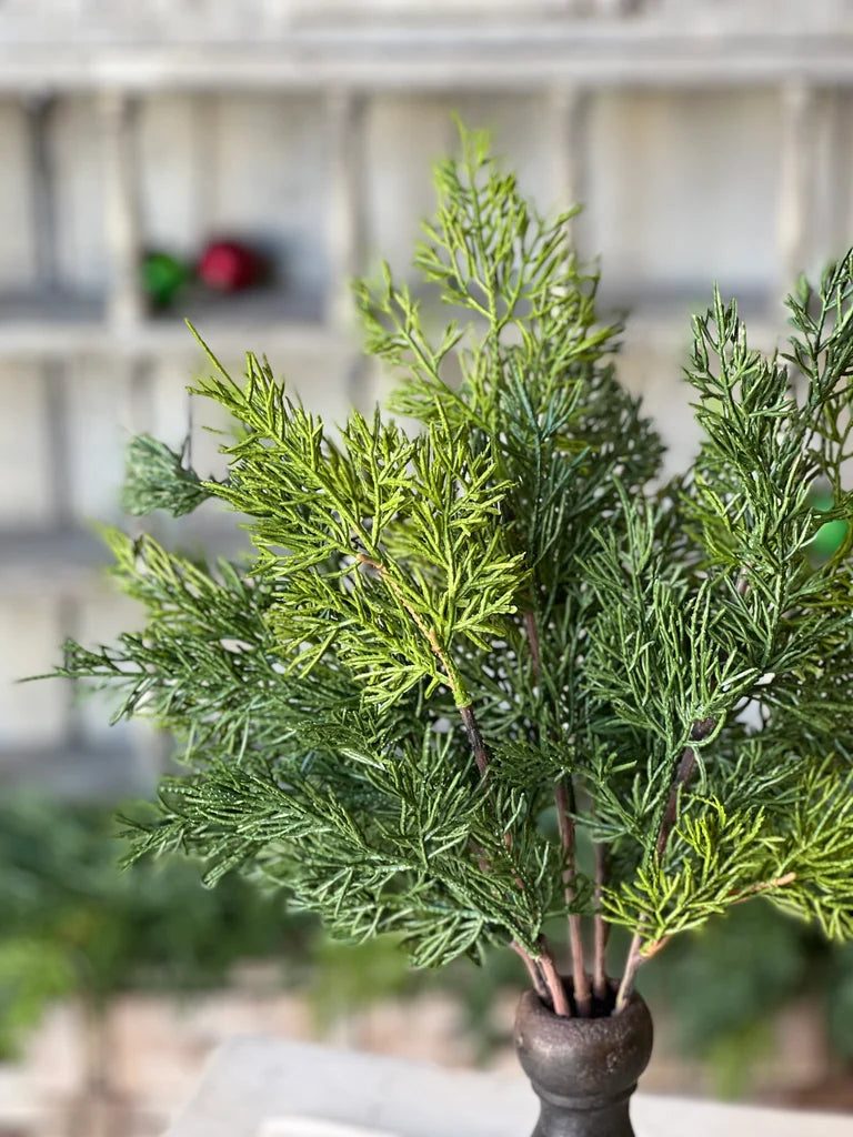 Green artificial pine or cedar-style stem arranged in a small dark vase, photographed close up with a softly blurred indoor background.