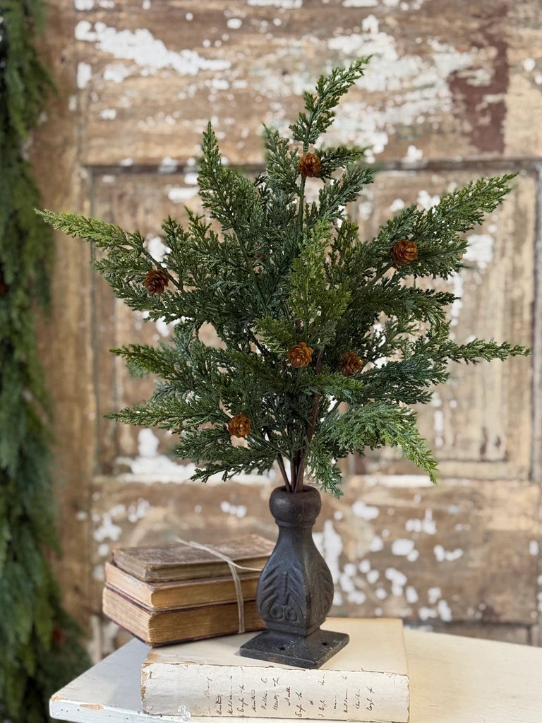 A small artificial cedar evergreen stem with pinecones in a dark carved metal vase, styled on top of vintage books against a rustic distressed wooden wall.