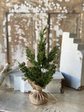 Small evergreen tree in a burlap sack on a rustic wooden surface with a textured wall background.