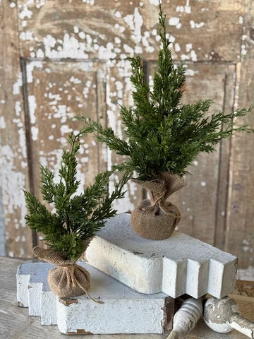 Wicklow Cedar Tree, 15”